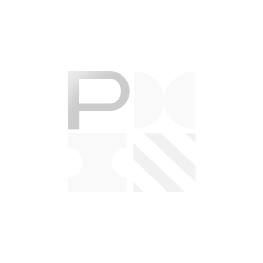 logotipo de la metodologia PMI